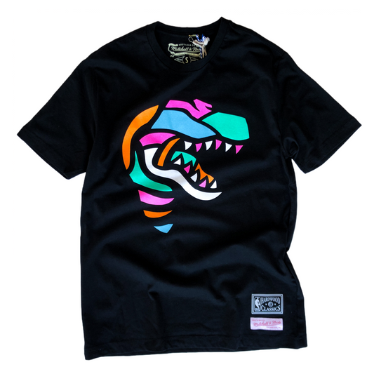 Mitchell and Ness Coloured Stained Glass Toronto Raptors Tee