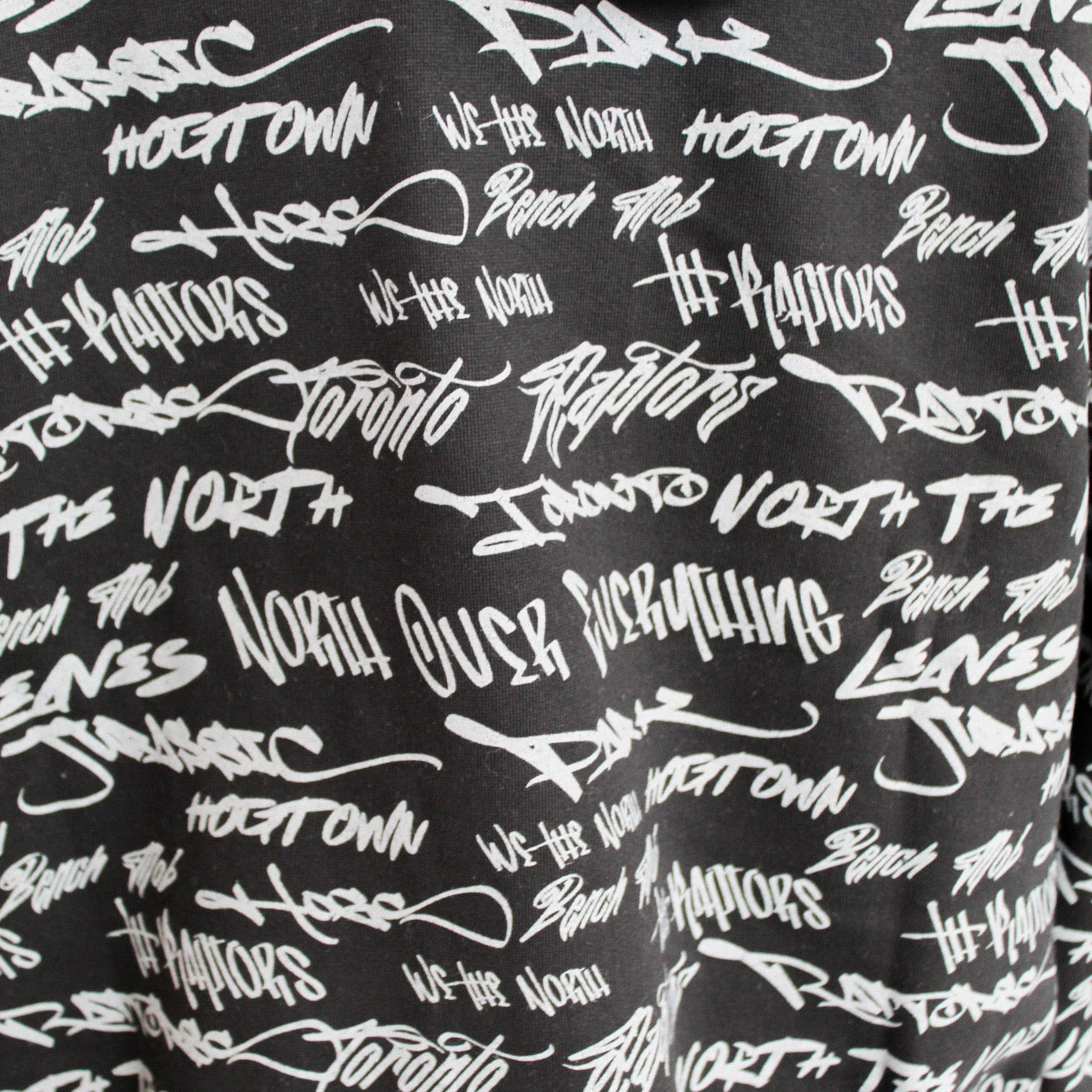 Mitchell and Ness NBA Meaningful Words Toronto Raptors Hoodie