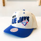 Mitchell and Ness Retro Type Toronto Blue Jays Pro Snapback