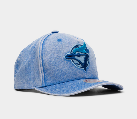 Mitchell and Ness Washed Out Tonal Toronto Blue Jays Pro Snapback