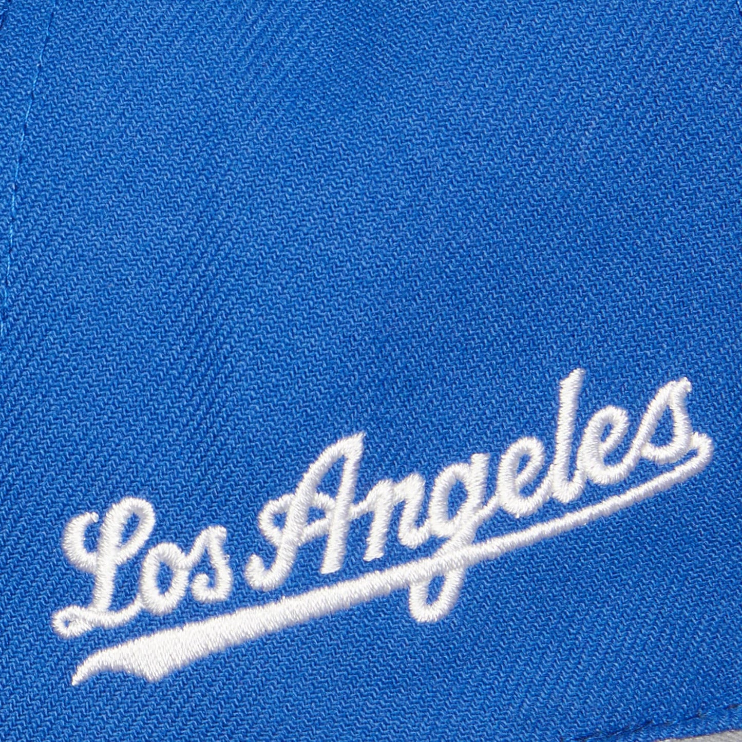 Mitchell and Ness Los Angeles Dodgers Evergreen Snapback